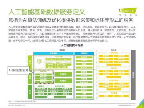 中國人工智能基礎數據服務與行業應用集成服務雙輪驅動產業發展報告
